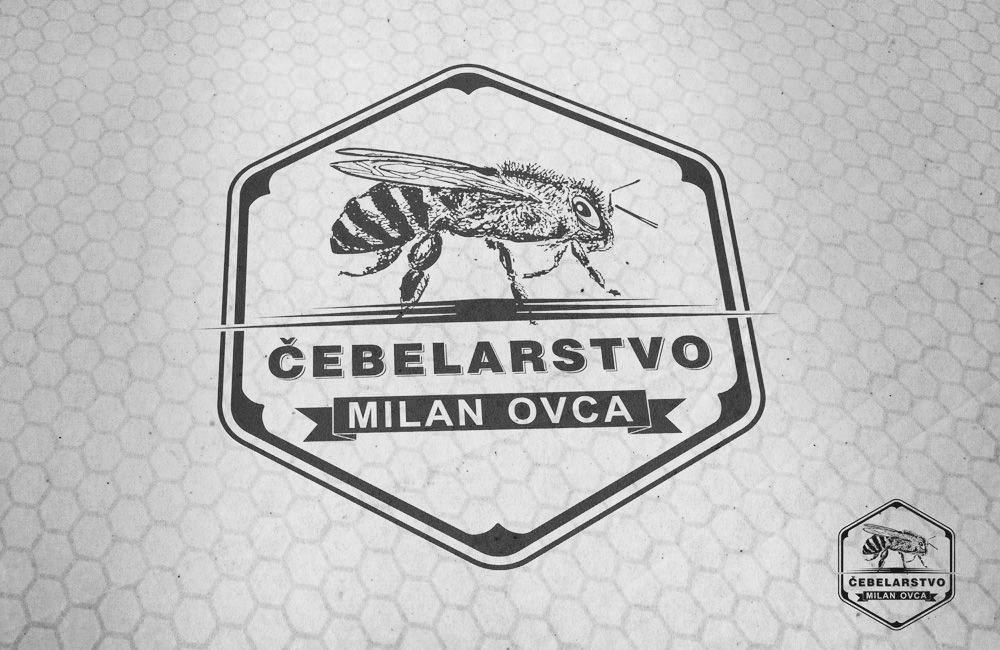 logo mockup